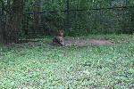 IMG_0761.JPG