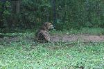 IMG_0764.JPG