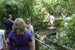 IMG_0788.JPG