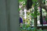 IMG_0853.JPG