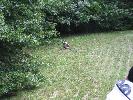 IMG_1183.JPG