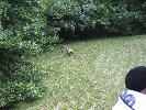 IMG_1184.JPG