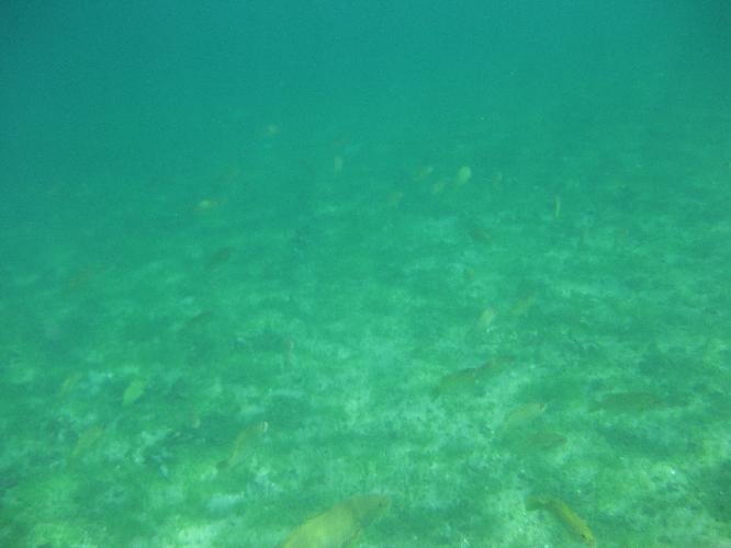 IMG_1058.JPG