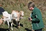 IMG_1464.JPG