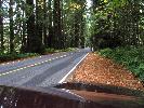 IMG_1474.JPG