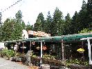 IMG_1481.JPG