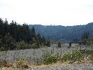 IMG_1486.JPG