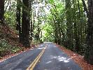 IMG_1488.JPG