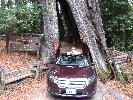 IMG_1491.JPG
