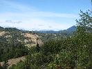 IMG_1498.JPG