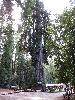 IMG_1504.JPG