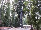 IMG_1505.JPG