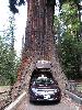 IMG_1508.JPG