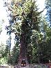 IMG_1509.JPG