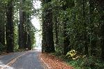 IMG_1778.JPG