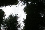 IMG_1780.JPG