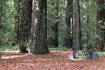 IMG_1783.JPG