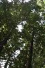 IMG_1785.JPG