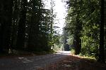 IMG_1786.JPG