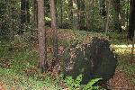 IMG_1802.JPG