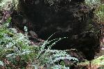 IMG_1804.JPG