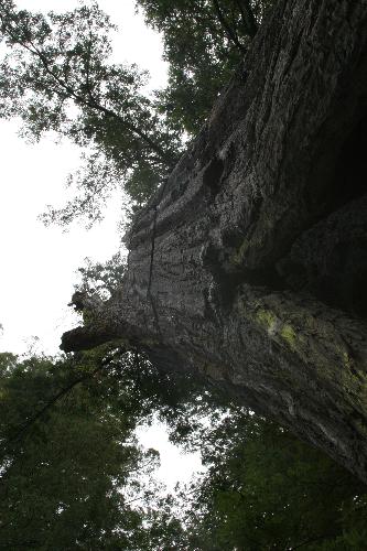 IMG_1812.JPG