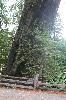 IMG_1813.JPG