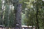 IMG_1835.JPG