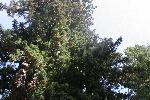 IMG_1845.JPG