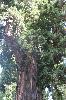 IMG_1846.JPG