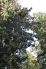 IMG_1847.JPG