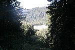 IMG_1541.JPG