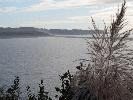 IMG_1375.JPG