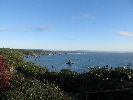 IMG_1376.JPG