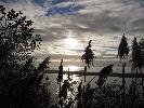 IMG_1371.JPG