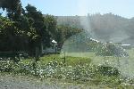 IMG_1439.JPG