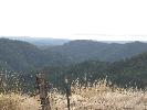 IMG_1519.JPG