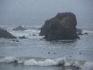 IMG_1529.JPG