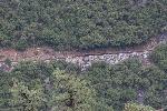 IMG_1167.JPG