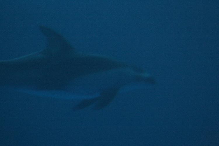 IMG_7764.JPG