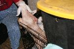 IMG_6587.JPG