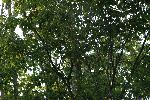 IMG_7440.JPG