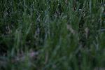 IMG_7486.JPG