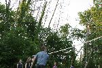 IMG_7509.JPG