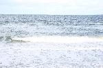 778C2745.JPG