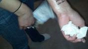 2013-02-02_17-37-06_934.jpg