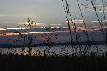 778C2259.JPG