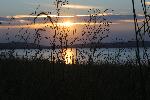 778C2265.JPG