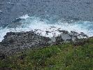 IMG_0648.JPG