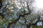 IMG_4314.JPG